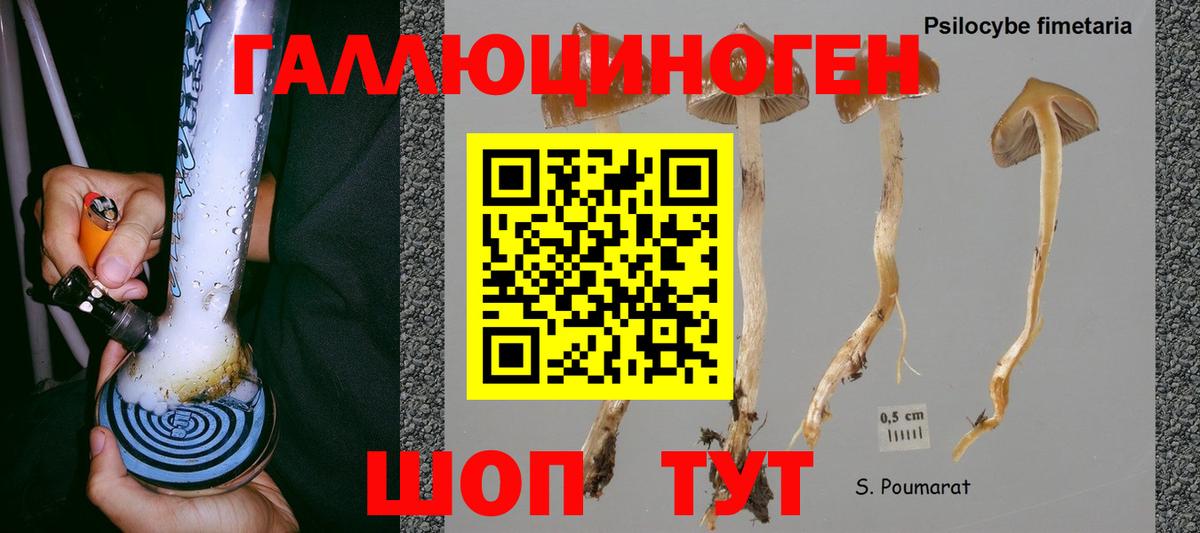Псилоцибиновые грибы Psilocybine cubensis  наркотики  Северск  Вход с VPN 